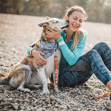 Los beneficios de ejercitarte junto a tu perro